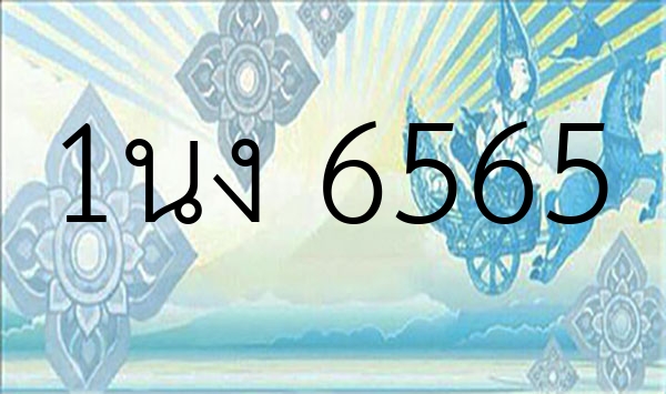 1นง 6565